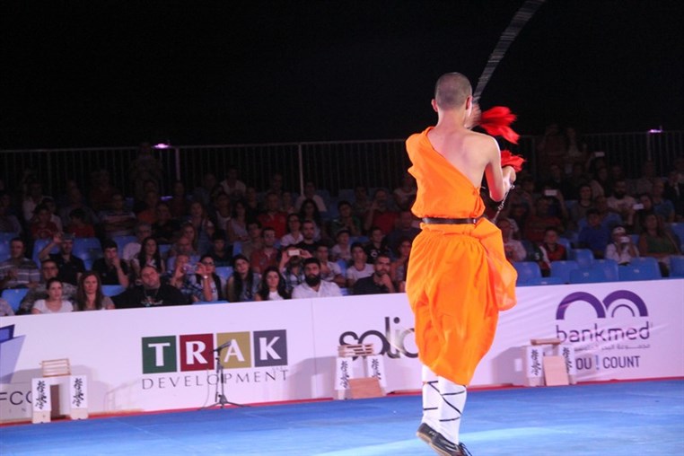 Martial Arts Festival
